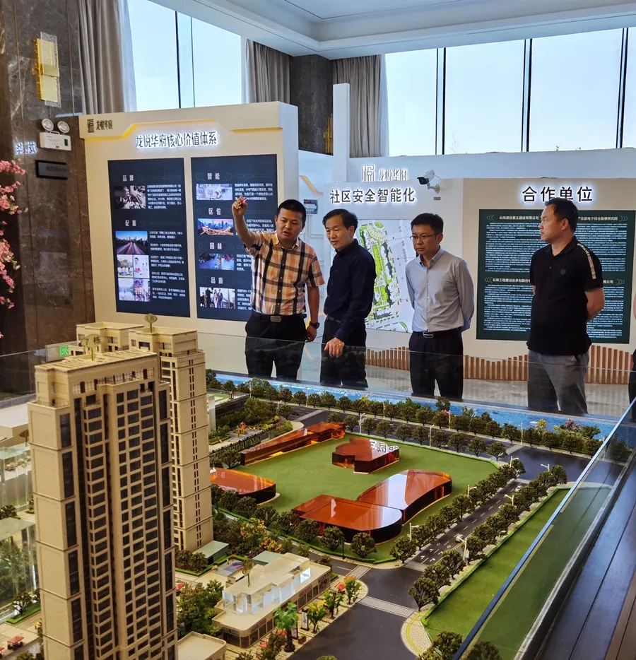 孟春柳到大理片區(qū)項目調(diào)研