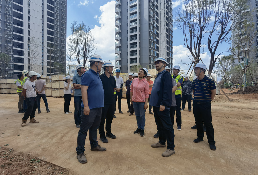 楊光雷到玉溪高鐵新城項(xiàng)目、元江果香四季項(xiàng)目調(diào)研